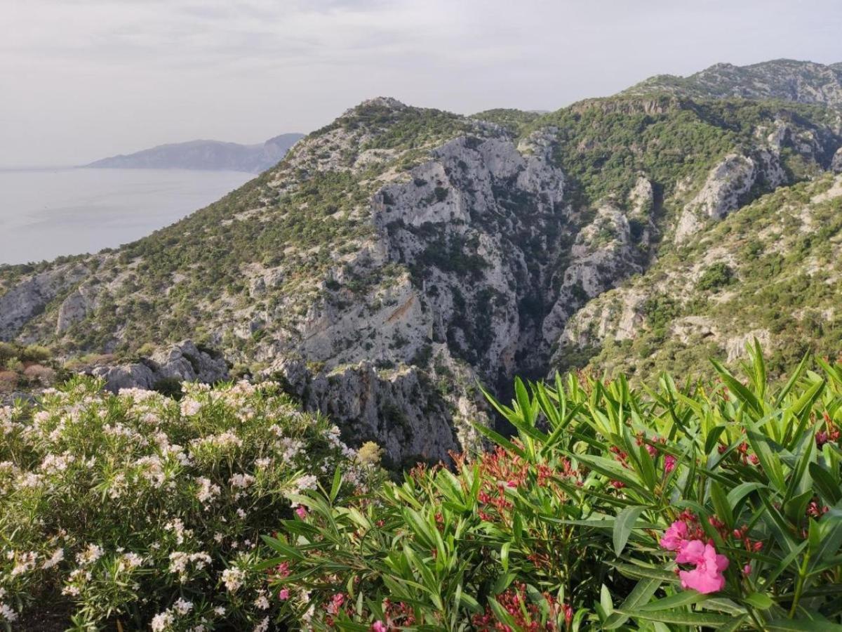 玛丽亚卡特里纳乡村别墅旅游酒店 卡拉古诺内 外观 照片